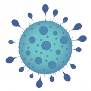 Fungicide